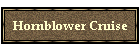 Hornblower Cruise