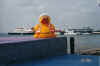 CozumelDuck.jpg (69472 bytes)